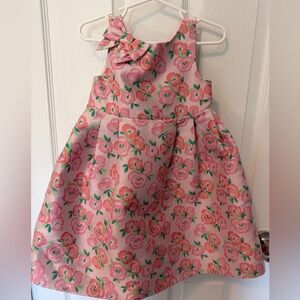 Janie and Jack Pink Floral Bow Dress
